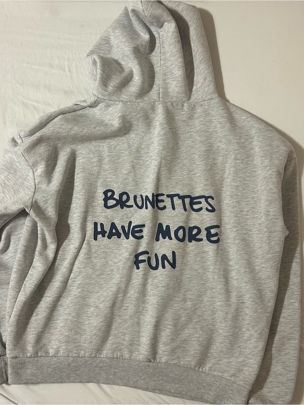 Subdued Light Gray Pullover Hoodie with Navy Logo